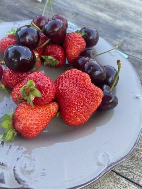 Weißer Teller mit Kirschen und Erdbeeren